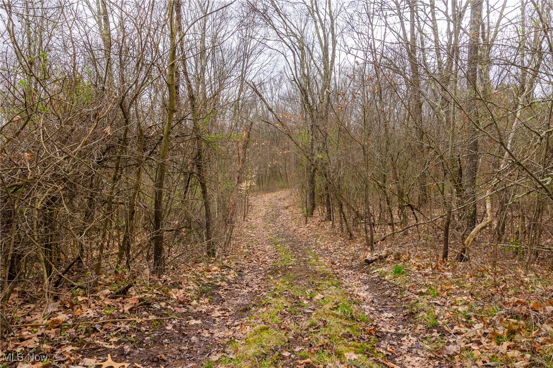Oak Ridge Road, Wellsville, Ohio image 40