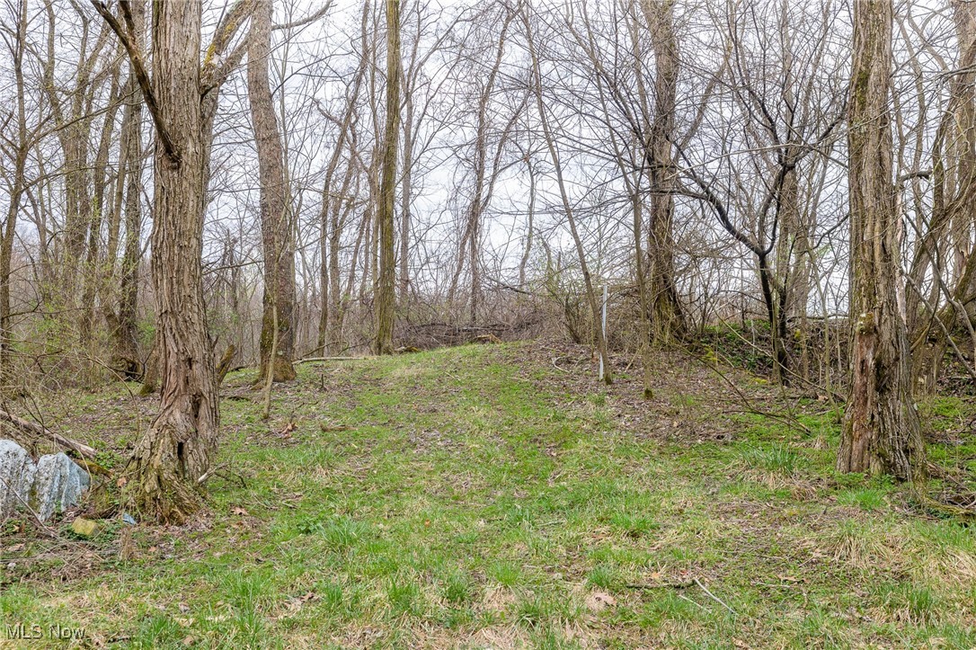 Oak Ridge Road, Wellsville, Ohio image 19