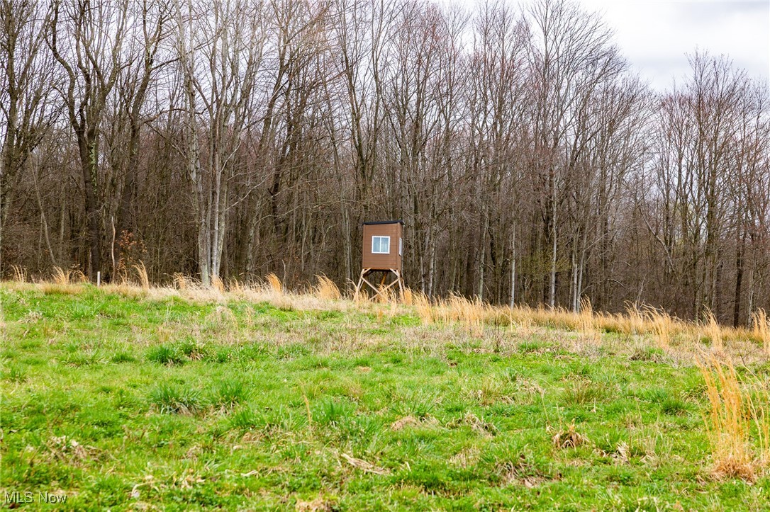 Oak Ridge Road, Wellsville, Ohio image 15