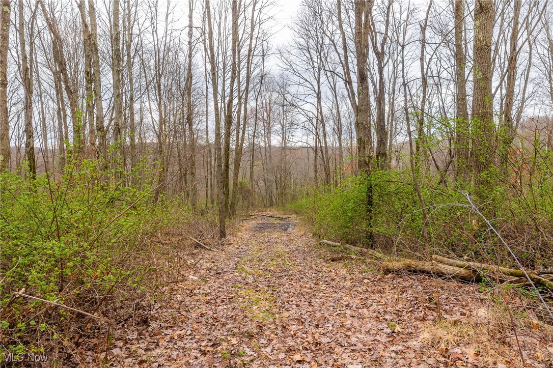 Oak Ridge Road, Wellsville, Ohio image 43