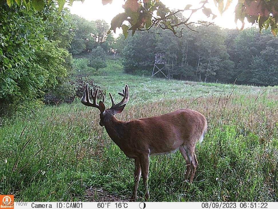 Oak Ridge Road, Wellsville, Ohio image 25