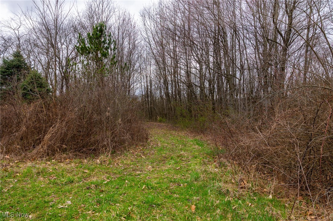 Oak Ridge Road, Wellsville, Ohio image 37