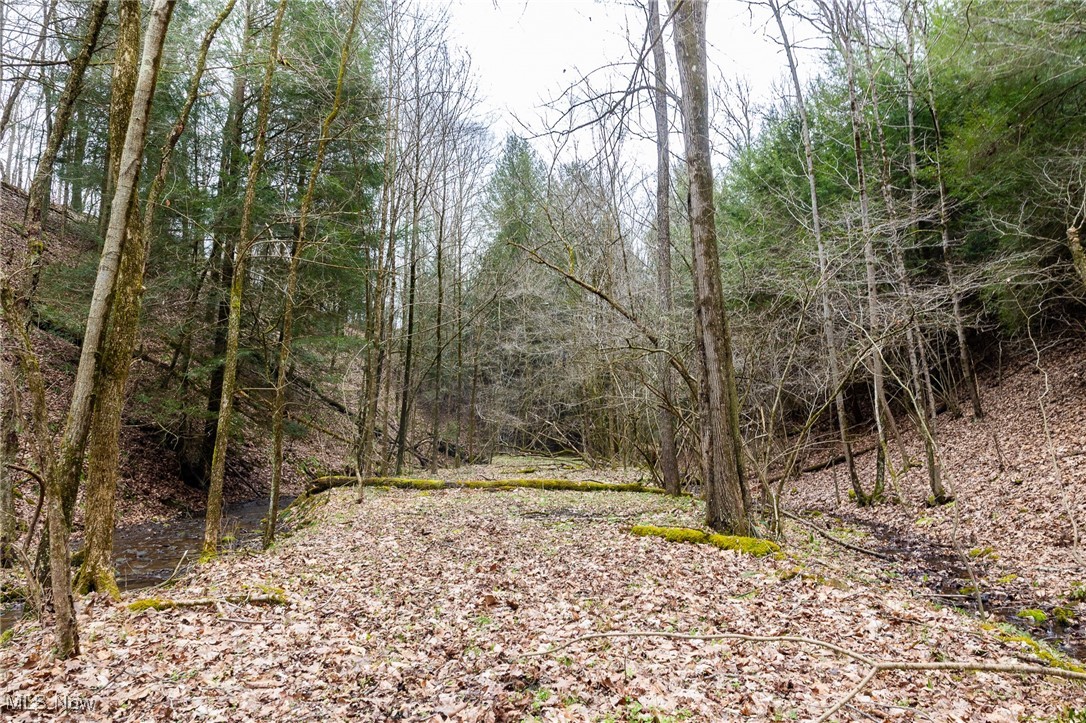 Oak Ridge Road, Wellsville, Ohio image 18