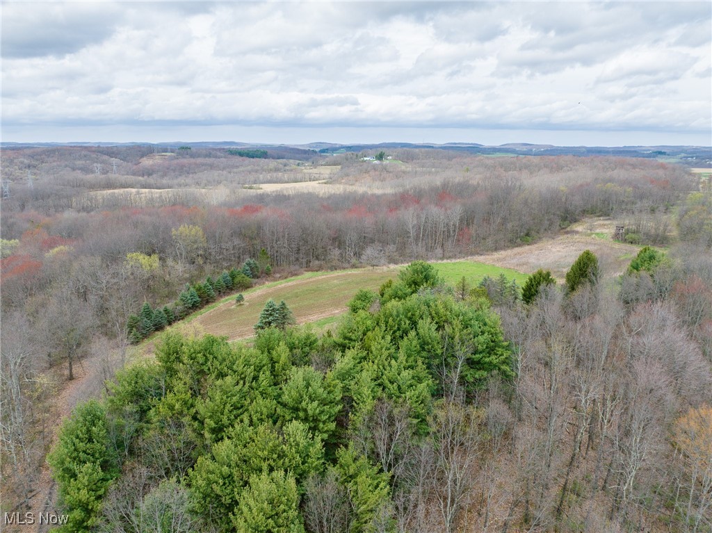 Oak Ridge Road, Wellsville, Ohio image 1