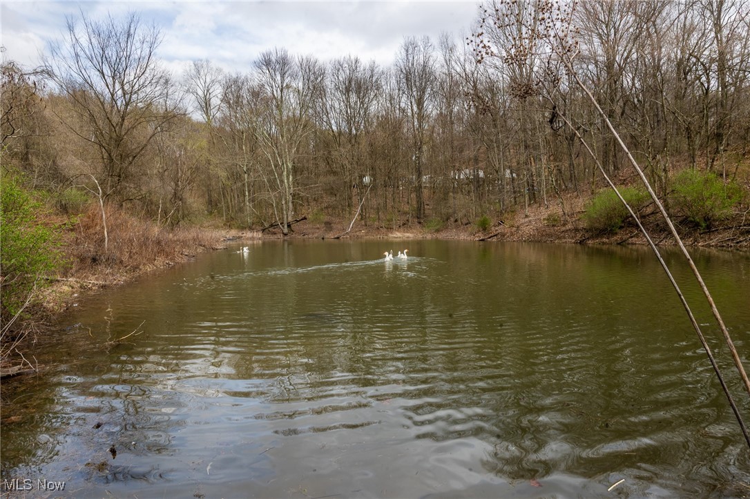 Oak Ridge Road, Wellsville, Ohio image 6
