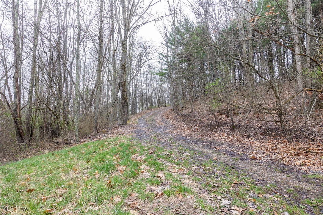 Oak Ridge Road, Wellsville, Ohio image 36