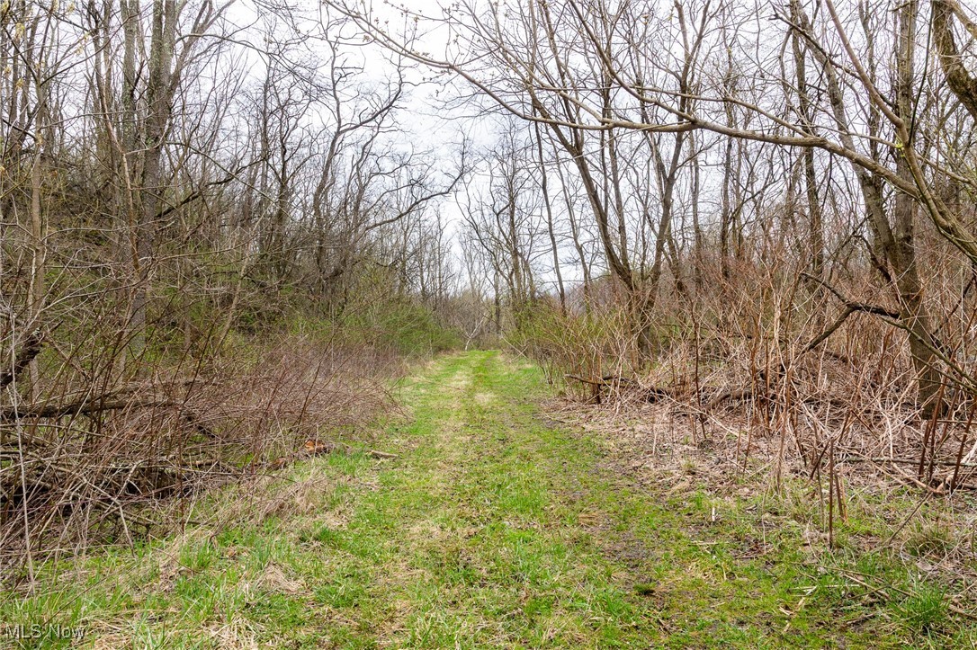 Oak Ridge Road, Wellsville, Ohio image 47