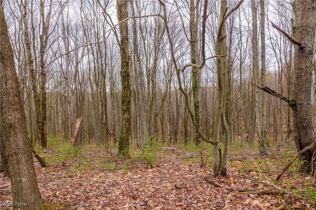 Oak Ridge Road, Wellsville, Ohio image 17