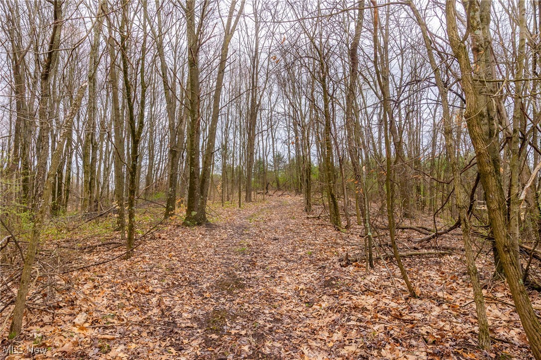 Oak Ridge Road, Wellsville, Ohio image 39