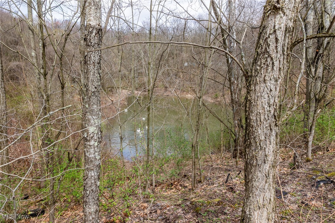Oak Ridge Road, Wellsville, Ohio image 27
