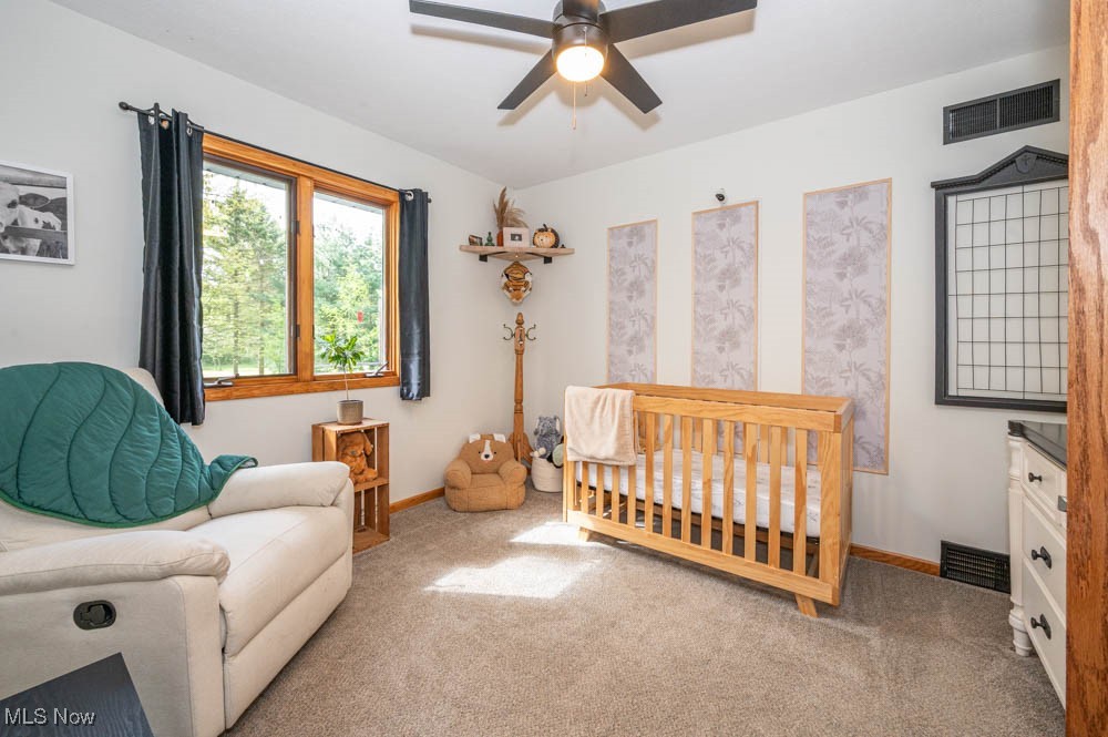 8584 Fisher Road, Diamond, Ohio image 30