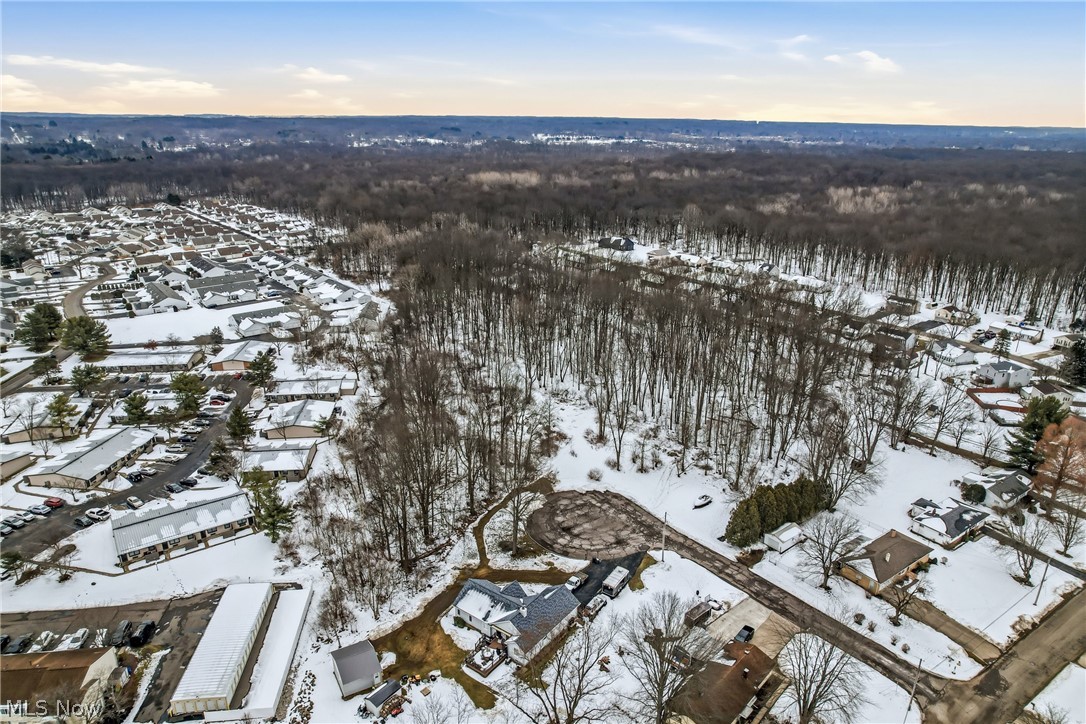 Rick Cheeks 01 - Land