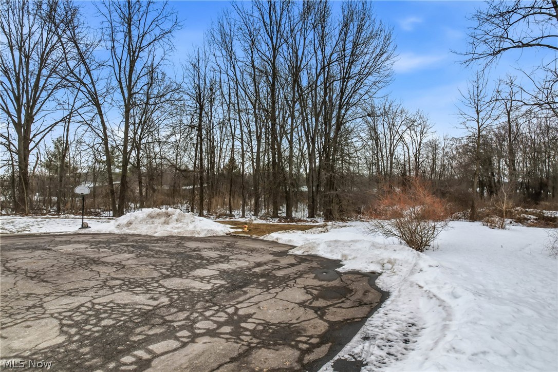 Rick Cheeks 01 - Land