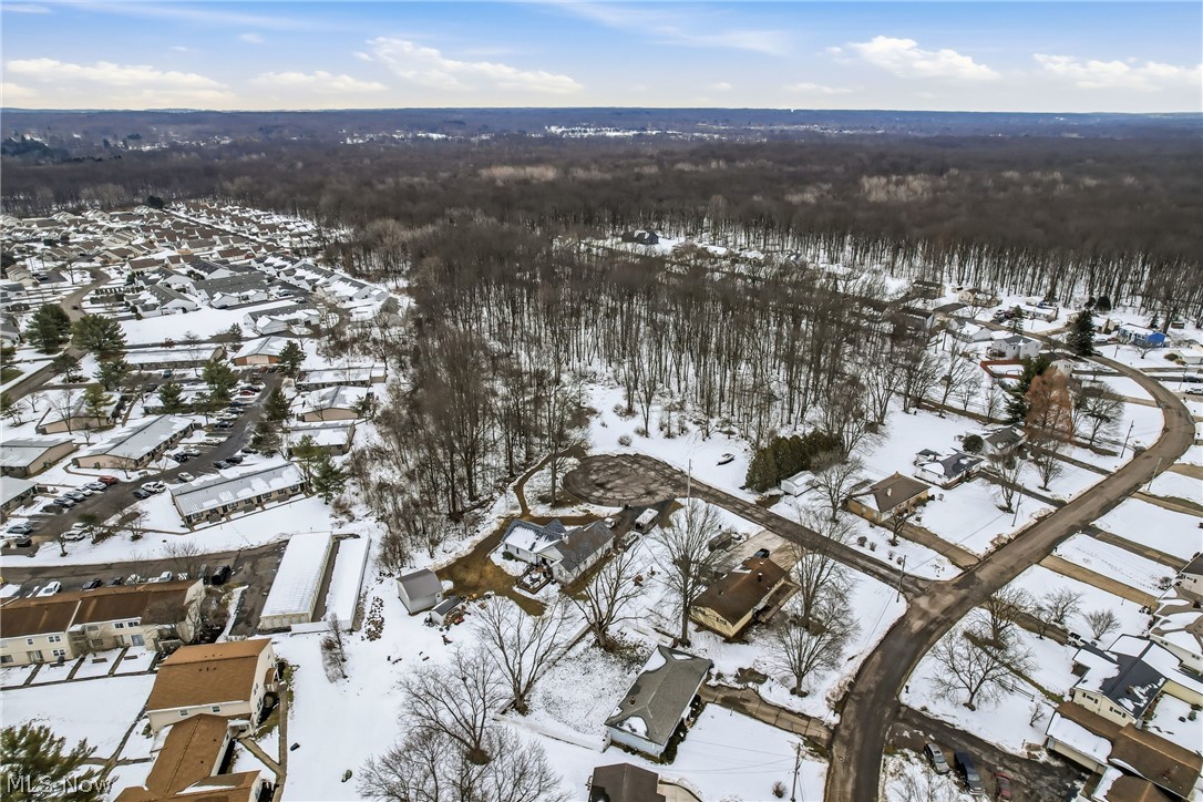 Rick Cheeks 01 - Land