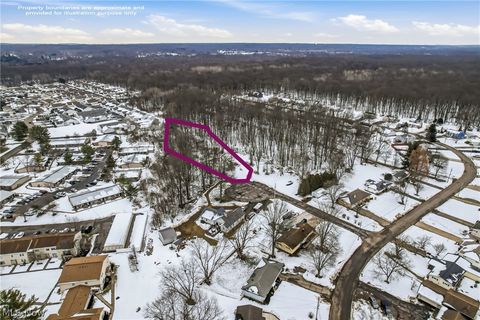 Tiny photo for Cheeks Court, Cortland, OH 44410 (MLS # 5187643)