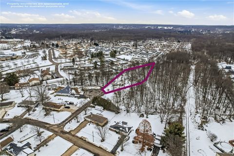 Tiny photo for Cheeks Court, Cortland, OH 44410 (MLS # 5187643)