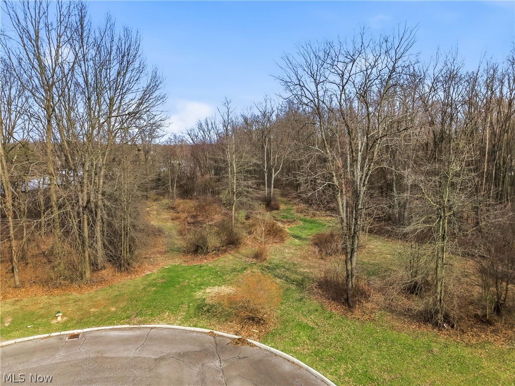 Rick Cheeks 01 - Land