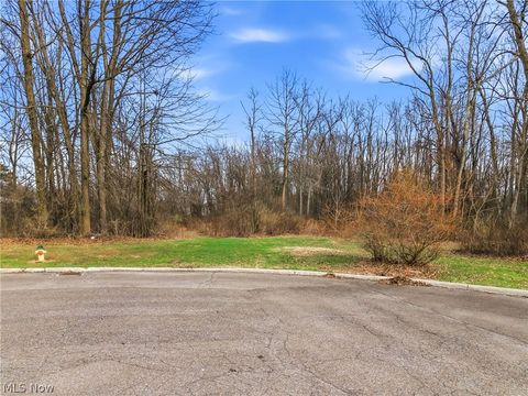 Vacant Land For Sale - Cheeks Court<br/> Trumbull County, Cortland, OH 44410
