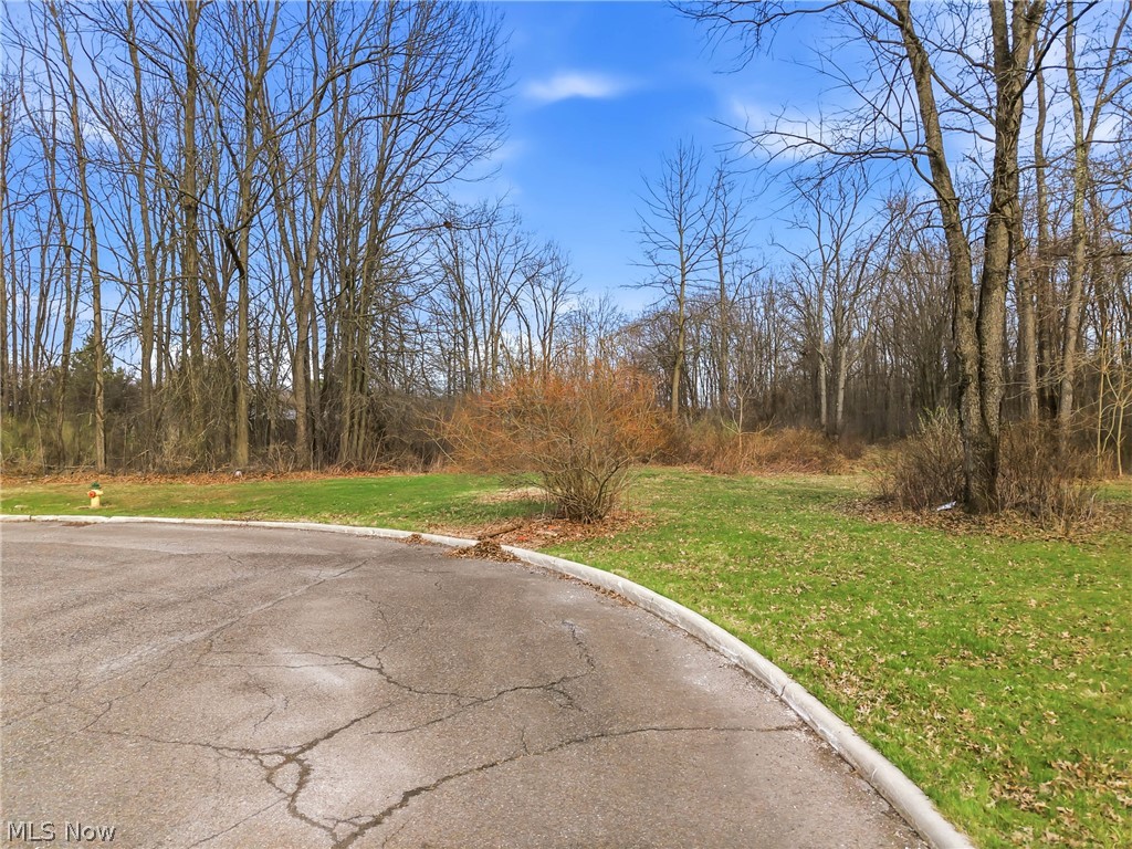 Rick Cheeks 01 - Land