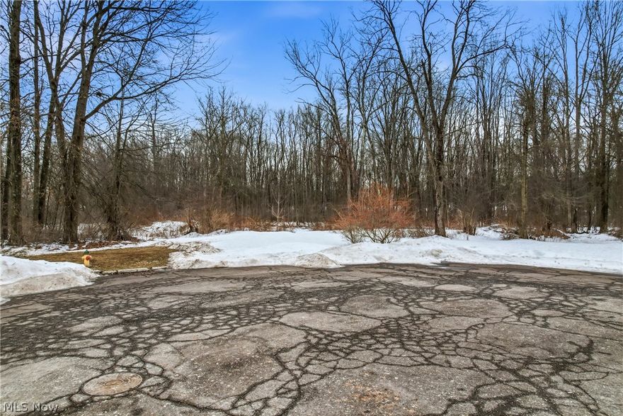 Build your dream home on this beautiful residential lot located on Cheeks Court in Cortland. Situated on a quiet cul-de-sac, this property offers the perfect blend of privacy and convenience. The lot features some clearing while remaining mostly wooded, creating a serene, natural setting surrounded by mature trees and abundant wildlife. Enjoy the benefits of public utilities available while designing a home that feels tucked away in a peaceful, desirable area. Located within the Lakeview School District, this lot also offers a convenient location close to shopping, dining, and major highways. If you've been thinking about building and want the comfort of public utilities, a prime location, and a private wooded setting, this is the opportunity you've been waiting for. Lots like this are hard to find and won't last long on the market.
