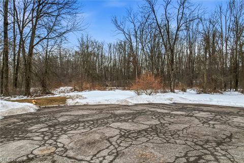 Photo of Cheeks Court, Cortland, OH 44410 (MLS # 5187643)