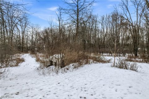 Tiny photo for Cheeks Court, Cortland, OH 44410 (MLS # 5187643)