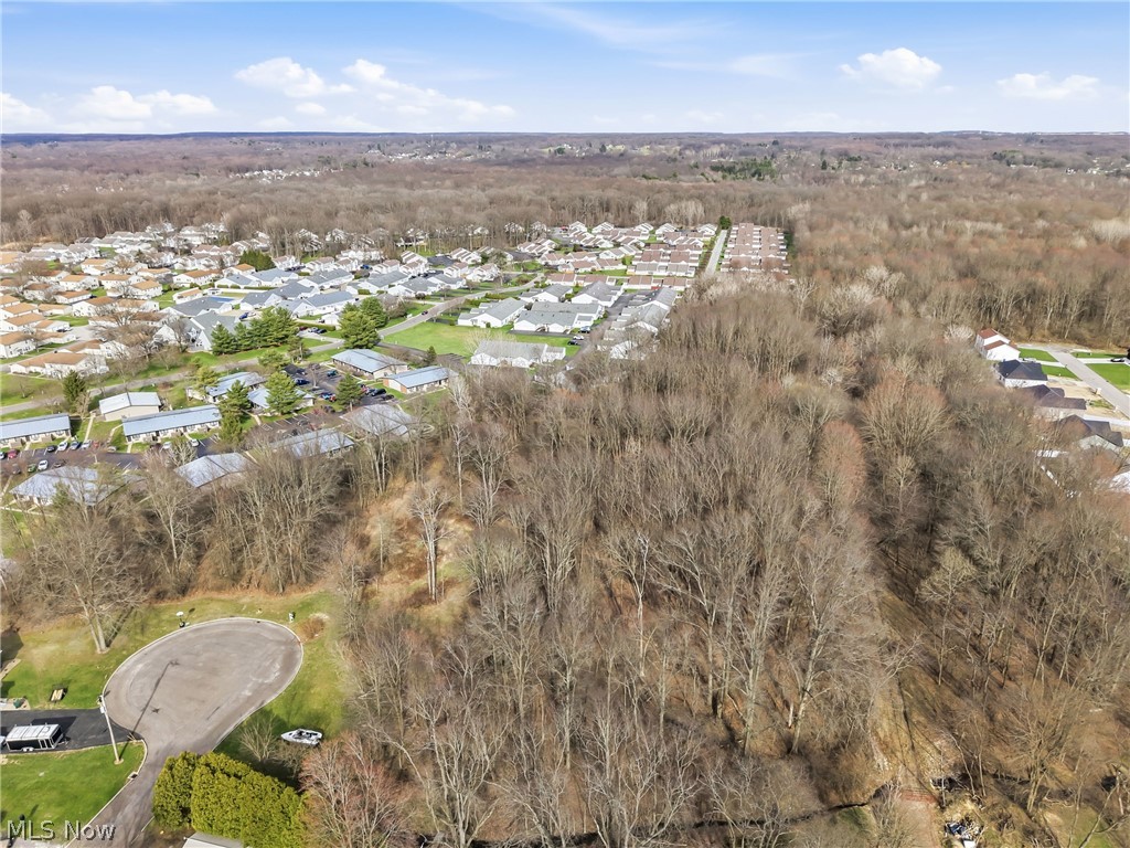 Rick Cheeks 01 - Land