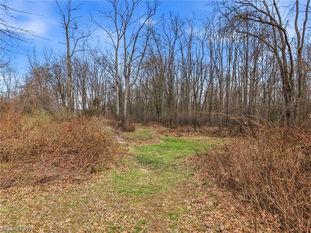 Rick Cheeks 01 - Land