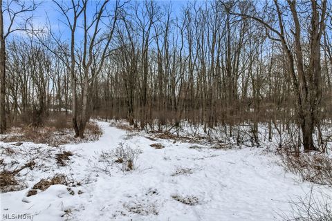 Tiny photo for Cheeks Court, Cortland, OH 44410 (MLS # 5187643)