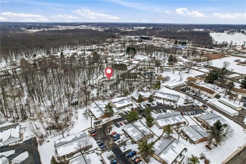 Tiny photo for Cheeks Court, Cortland, OH 44410 (MLS # 5187643)