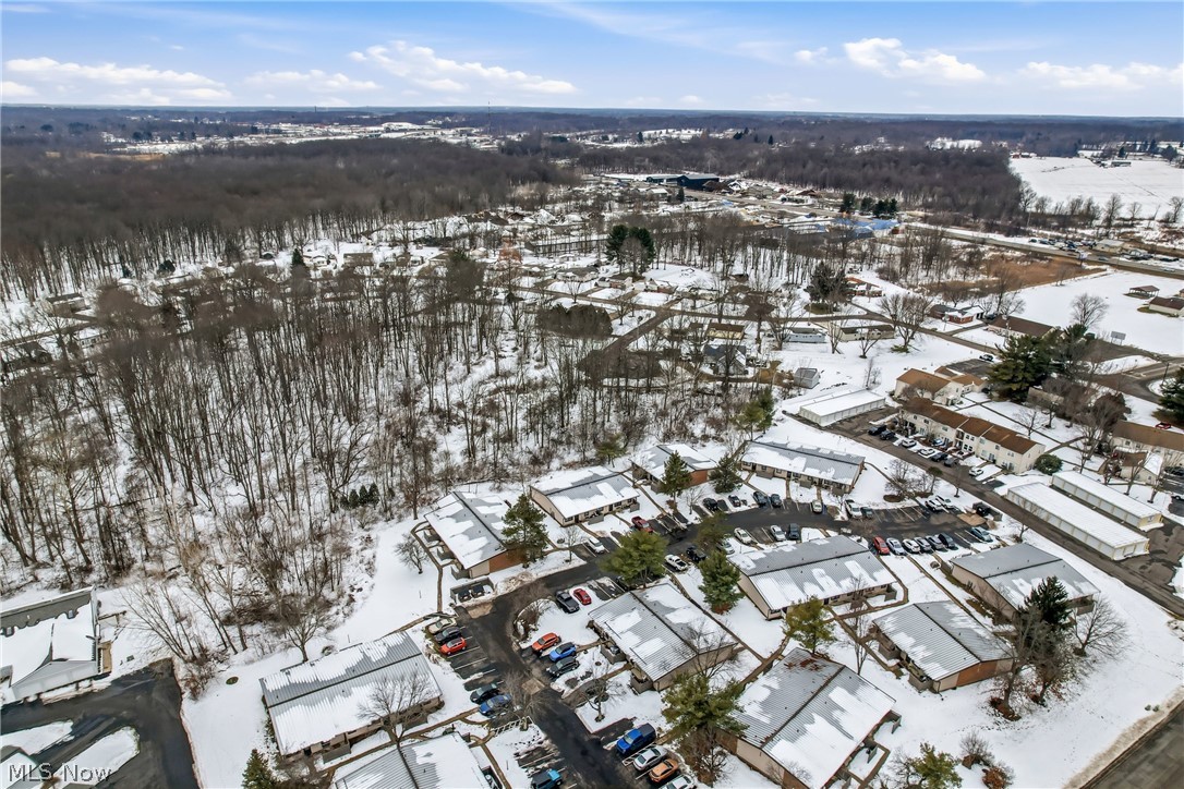 Rick Cheeks 01 - Land