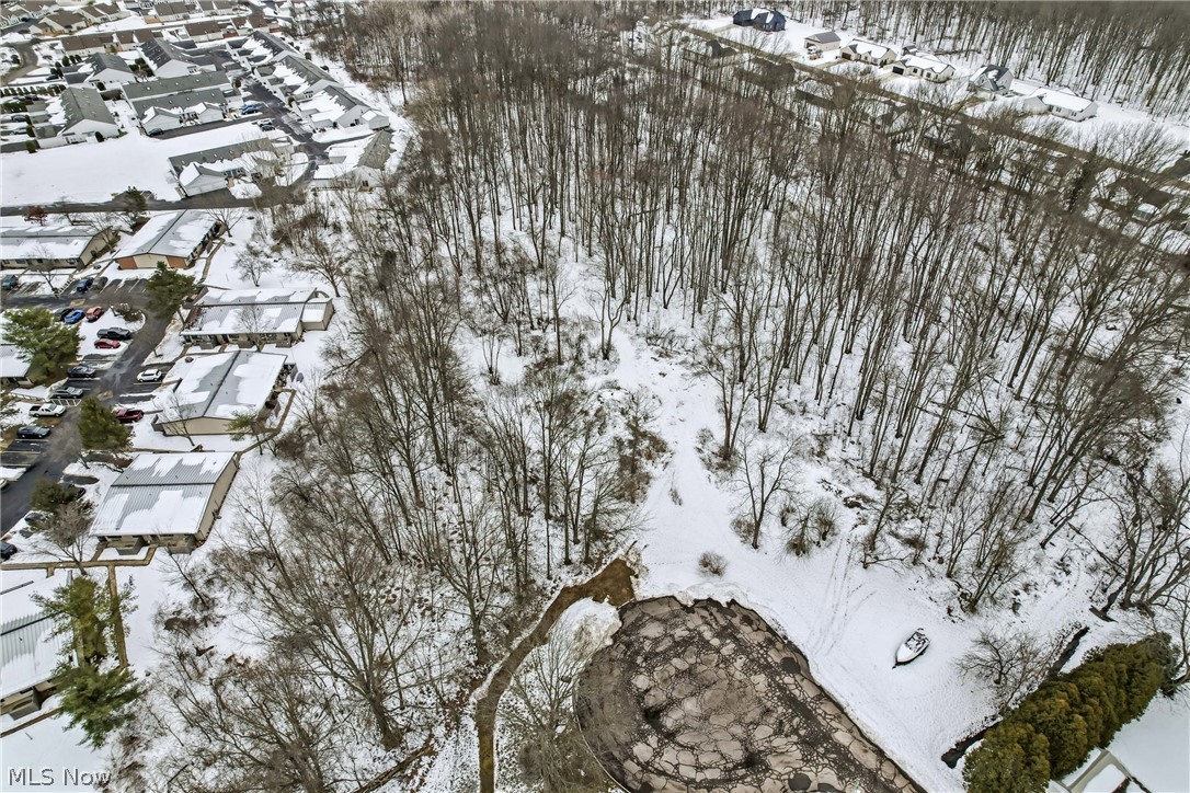 Rick Cheeks 01 - Land