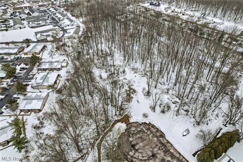 Tiny photo for Cheeks Court, Cortland, OH 44410 (MLS # 5187643)