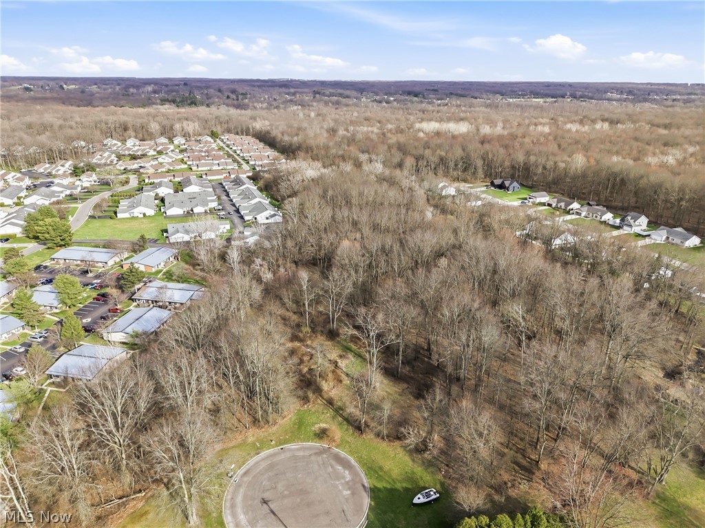 Rick Cheeks 01 - Land