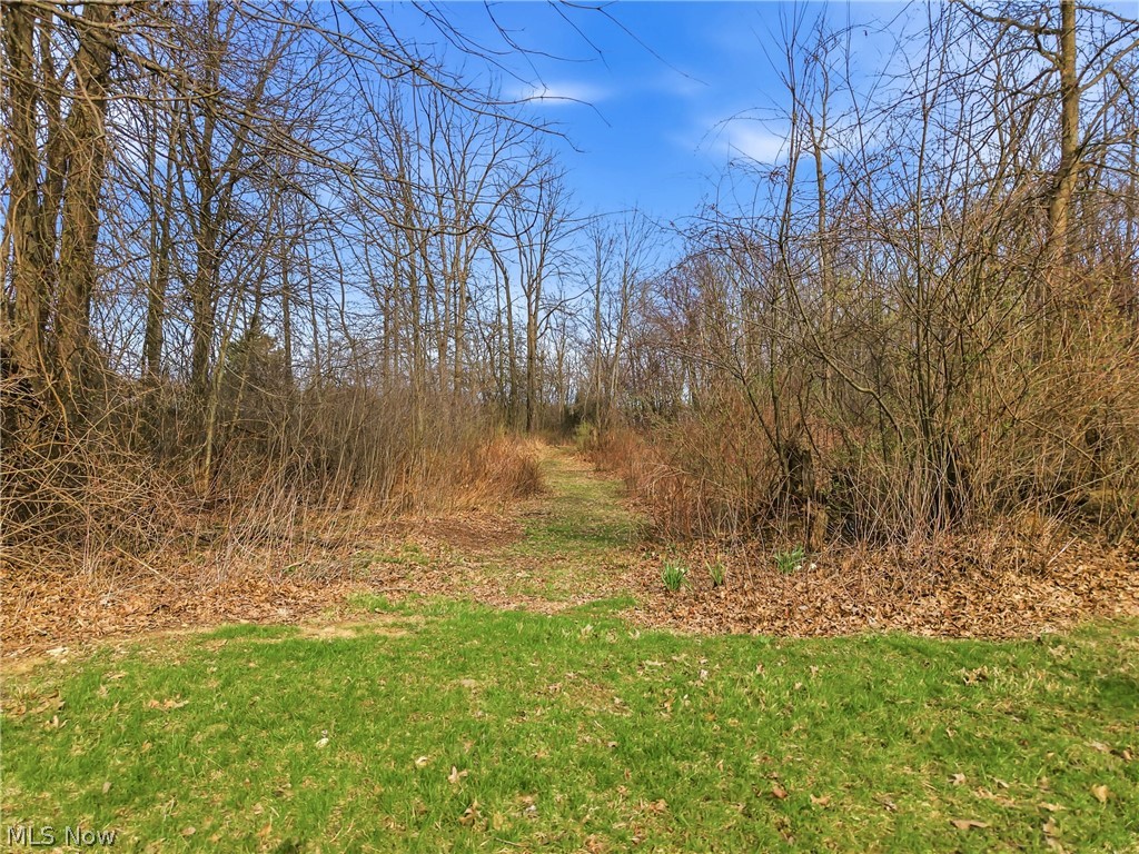 Rick Cheeks 01 - Land