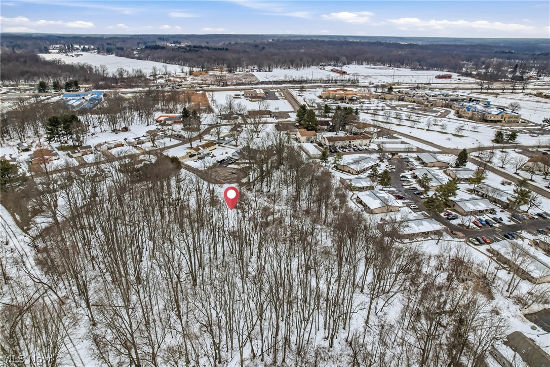 Rick Cheeks 01 - Land