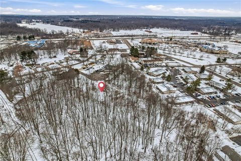 Tiny photo for Cheeks Court, Cortland, OH 44410 (MLS # 5187643)