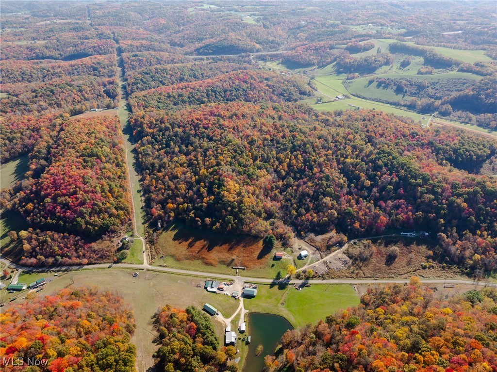 Kedigh Hollow Road, Newcomerstown, Ohio image 9