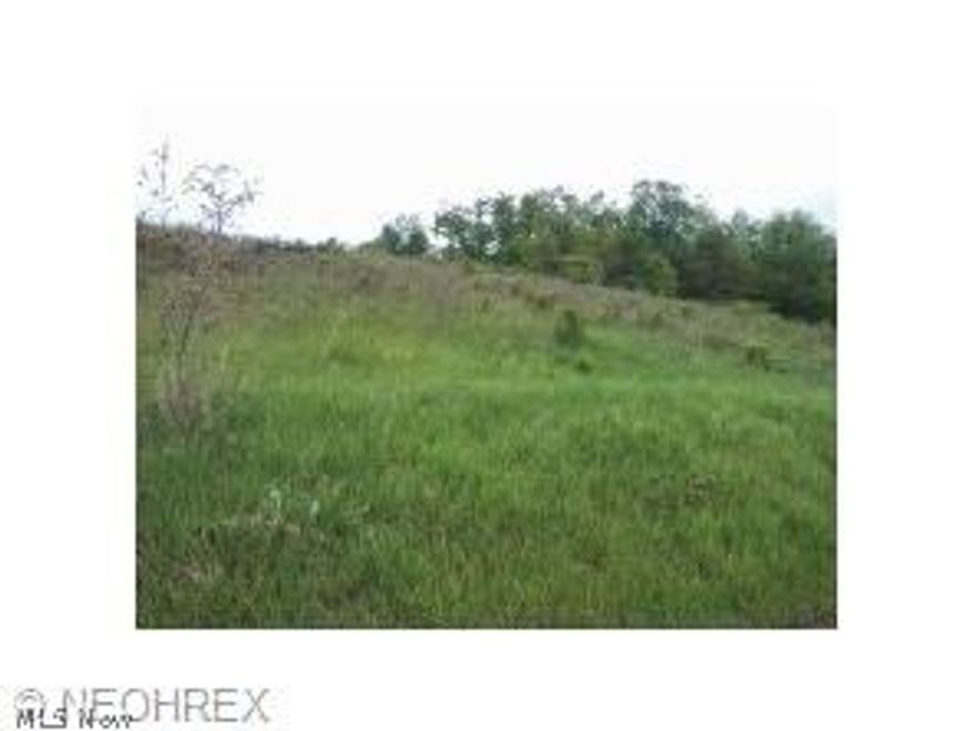 Hill side land. Nice building site on a cleared spot. small shrubs next to a wooded area. there is a culvert for a drive way  and a great view from top of hill. Few homes in the  area. and lots of deer.