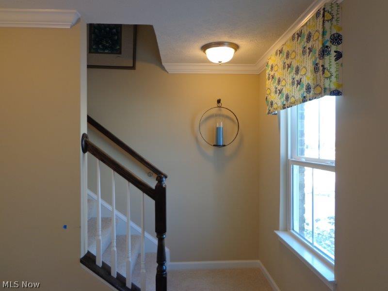 Stonegate at Waterbury - Residential