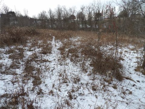 Vacant Land For Sale - Belmont Centerville Rd<br/> Belmont, OH 43718