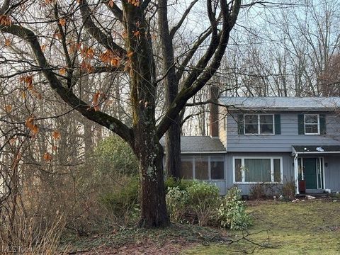 Tiny photo for 11801 Kenyon Drive, Hiram, OH 44234 (MLS # 5187997)