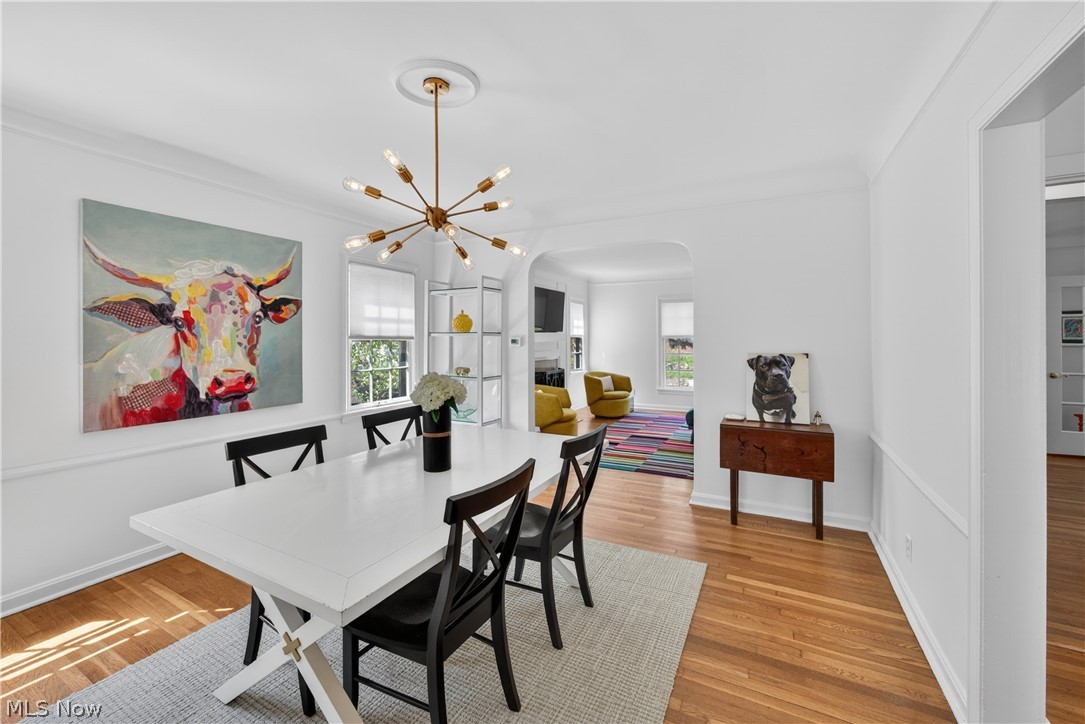 Rapid Transit - Residential