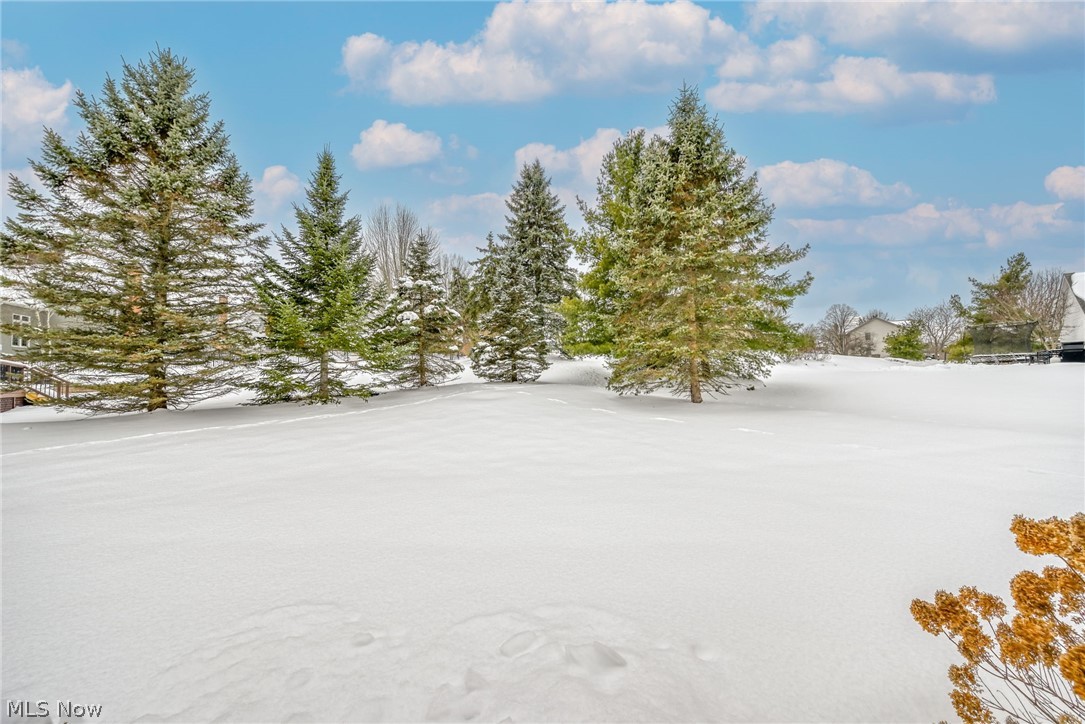 Raintree Estates - Residential