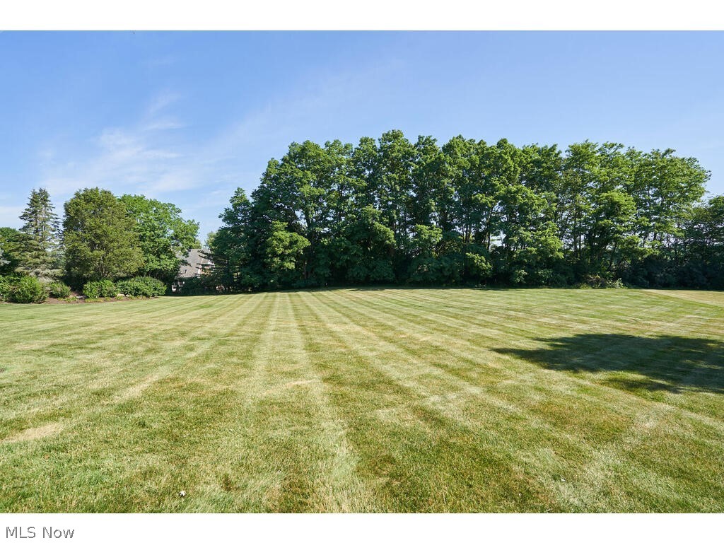 Arbour Green Allotment - Residential