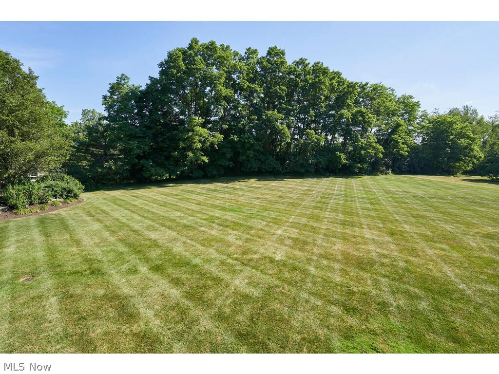 Arbour Green Allotment - Residential