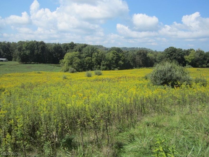 5 vacant acres in the country. Gently sloping to a small mature woods at the end of the parcel. Great gettaway/campsite or permanent homesite. Just 10 minutes to Gaysport, off Cutler Lake Road.