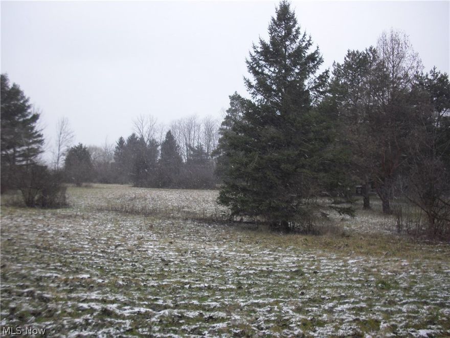 Liverpool Township/Valley City building site. Just under 3 acres of land. Mostly level with gently sloping topography. Pine trees are scattered throughout the building site. Potential for pond at the rear portion of the site. Central water at street.