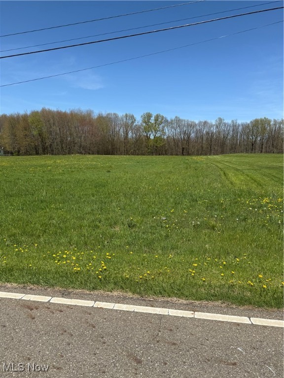 Stoltz Road, Diamond, Ohio image 1