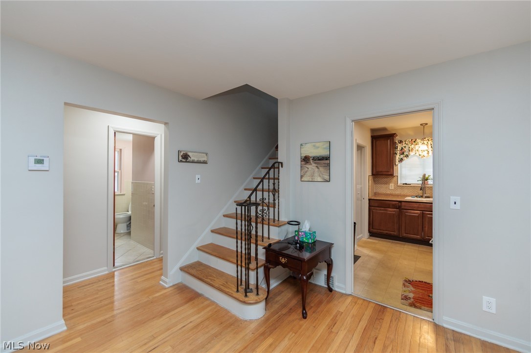 Belvoir Woods Allotment - Residential